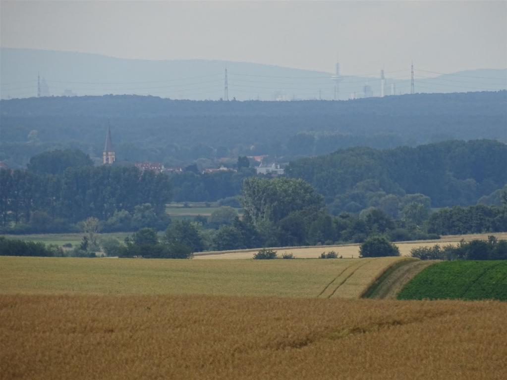 Von Otzberg nach Frankfurt beim Hundelaufen