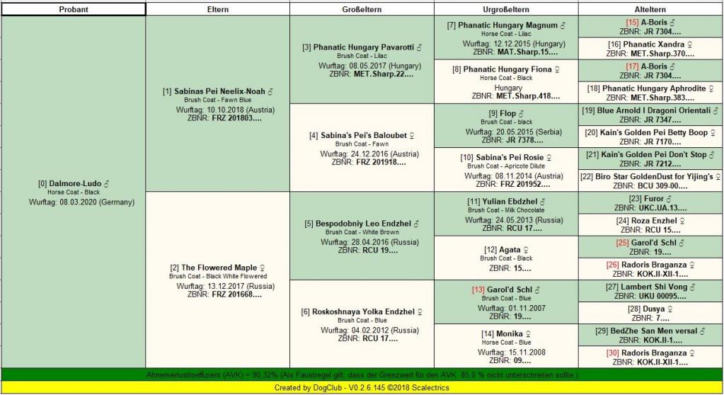 Pedigree D-Wurf mit Zuchtwerten (AVK und IK) - exemplarisch für Dalmore-Ludo