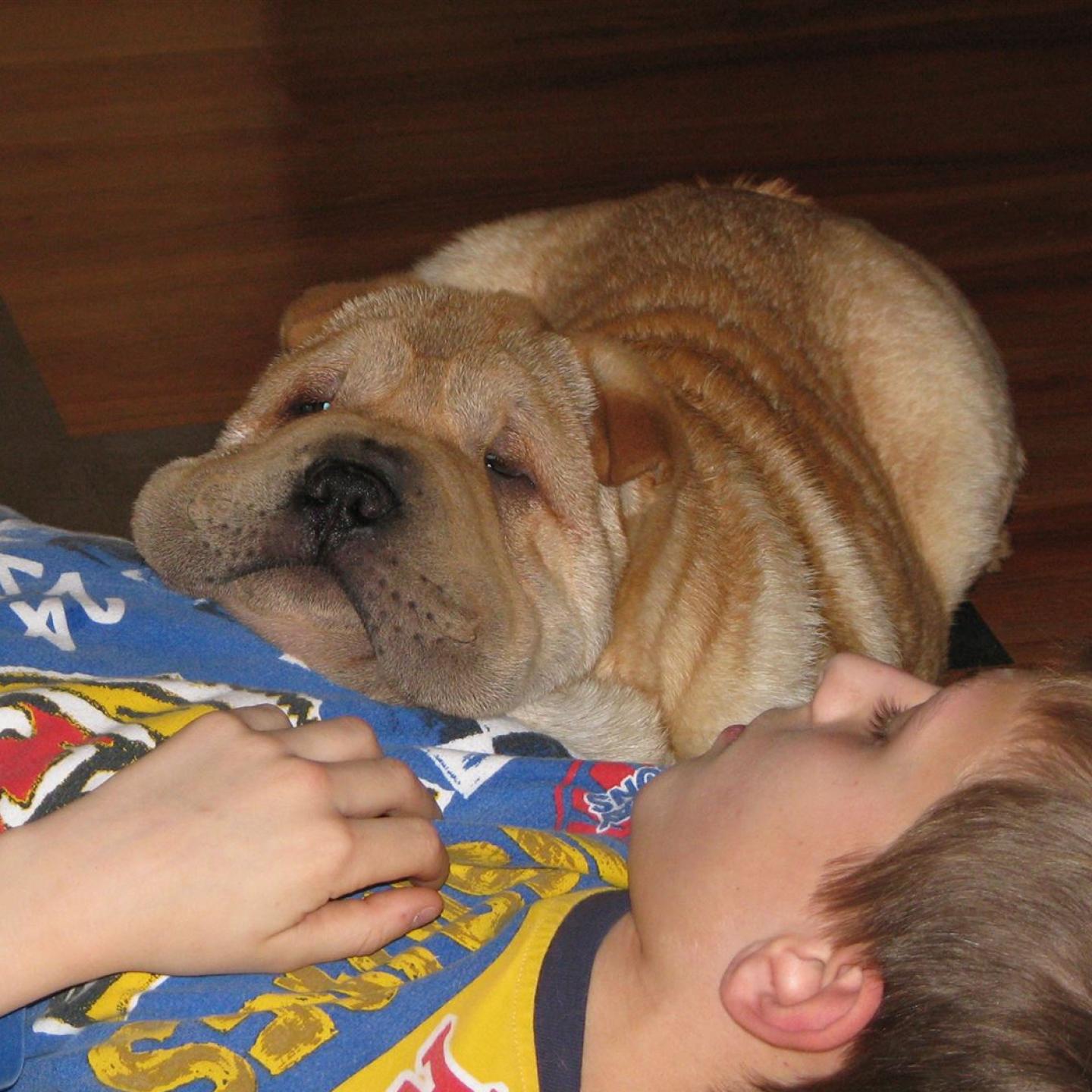 L'Odie und Eicke-Ian