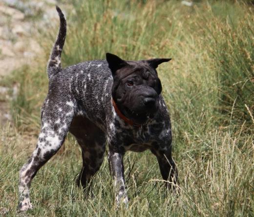 749269003_37919534634300313_3557528588480153201_n