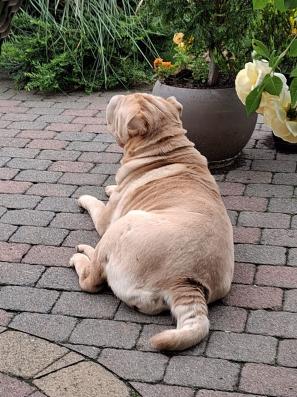 WhatsApp Bild 2025-06-05 um 12.03.28_2589edcf