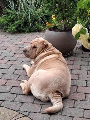 WhatsApp Bild 2025-06-05 um 12.03.28_857cf60b