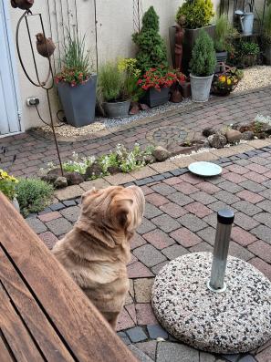 WhatsApp Bild 2025-06-05 um 12.03.28_d3d59a74