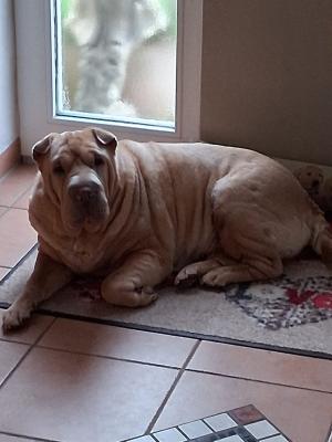 WhatsApp Bild 2025-06-05 um 22.58.17_da057c5e