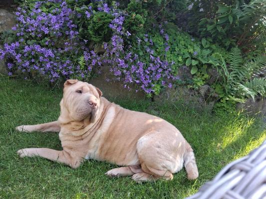 WhatsApp Bild 2025-06-12 um 22.12.34_43c957b0