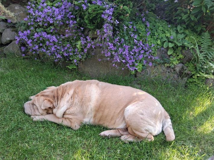 WhatsApp Bild 2025-06-12 um 22.12.36_1619be4d