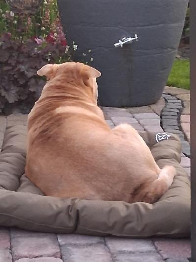 WhatsApp Bild 2025-06-18 um 22.42.52_7ee699f5