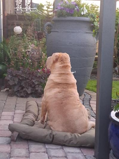 WhatsApp Bild 2025-06-18 um 22.42.52_8a80ece3