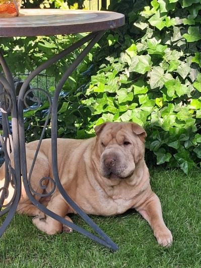 WhatsApp Bild 2025-06-19 um 16.51.04_736b8d58