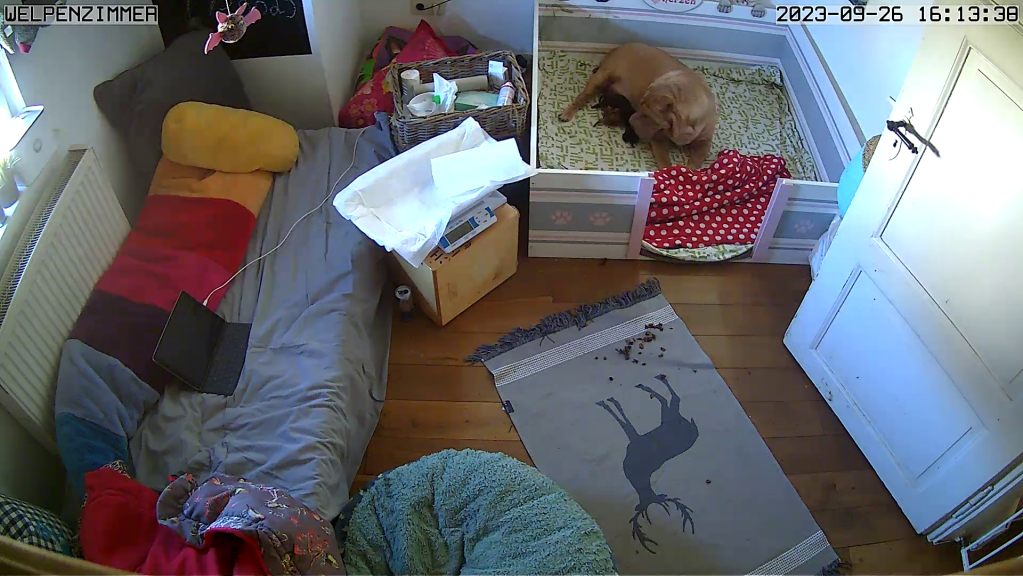 vlcsnap-2023-09-26-16h13m40s494