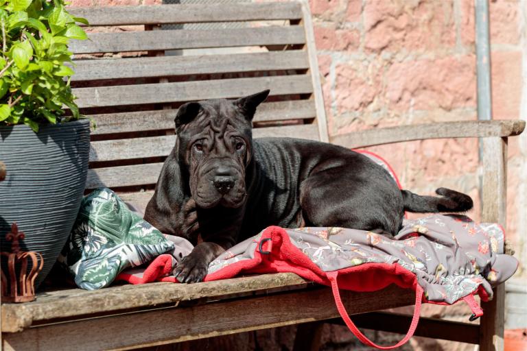 2022-05-22-09-49-23-EOS-1D X Mark II-0931_3840px