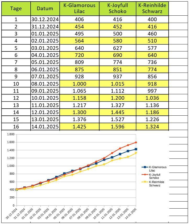 2024-12-K-Wurf-Gewichte