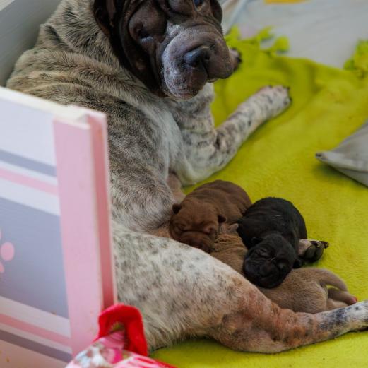 2025-01-02-15-14-42-EOS R6m2-1708-Verbessert-RR