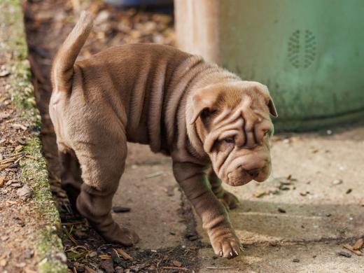 2025-02-22-10-46-57-EOS R6m2-5922-Verbessert-RR