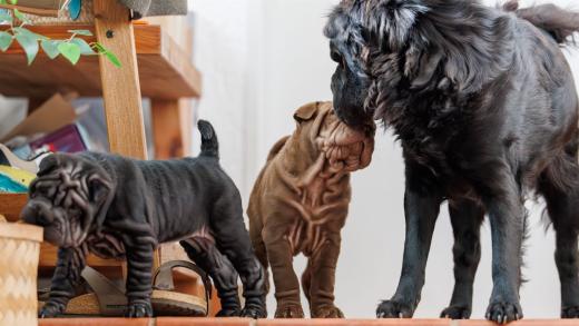 2025-02-22-10-59-03-EOS R6m2-5933-Verbessert-RR