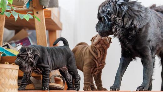 2025-02-22-10-59-04-EOS R6m2-5934-Verbessert-RR