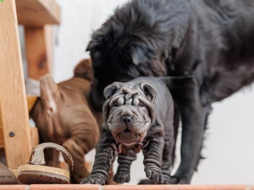 2025-02-22-10-59-08-EOS R6m2-5941-Verbessert-RR