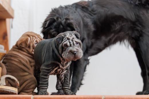 2025-02-22-10-59-09-EOS R6m2-5945-Verbessert-RR