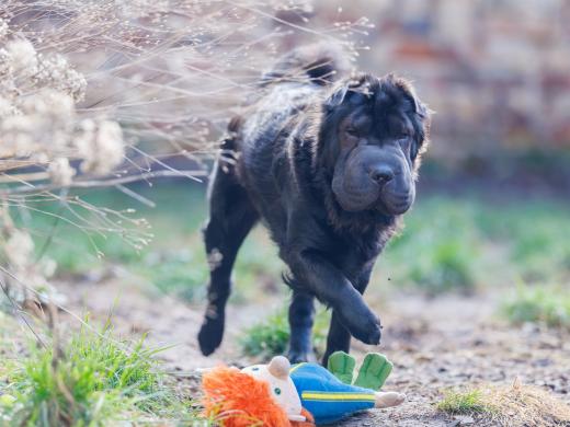 2025-02-23-09-58-53-EOS R6m2-5963-Verbessert-RR