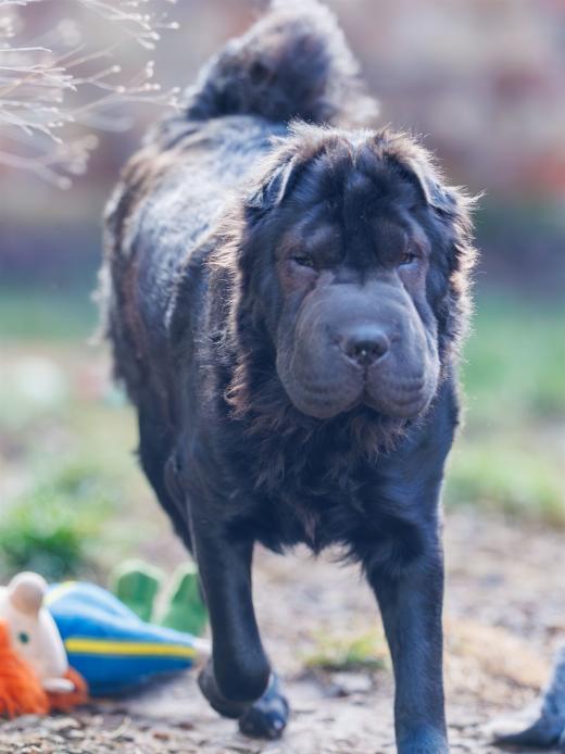 2025-02-23-09-58-54-EOS R6m2-5964-Verbessert-RR