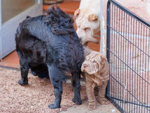 2025-02-23-10-20-50-EOS R6m2-5972-Verbessert-RR