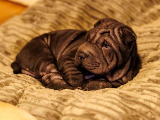 2025-03-07-19-11-22-EOS R6m2-6001-Verbessert-RR