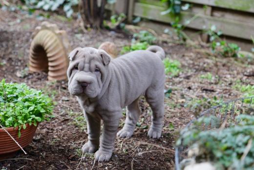 2025-03-09-16-50-15-421-81923383_2598624013675970_8256500789899282990_n