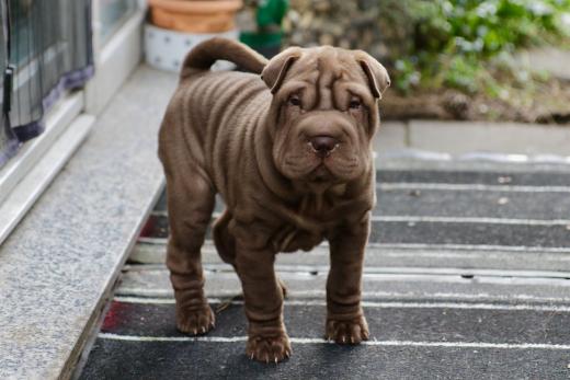 2025-03-09-16-51-06-033-80275525_2598623227009382_1145522155796715316_n