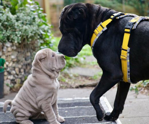 2025-03-09-16-51-41-334-80322800_2598623963675975_8298082778727346012_n