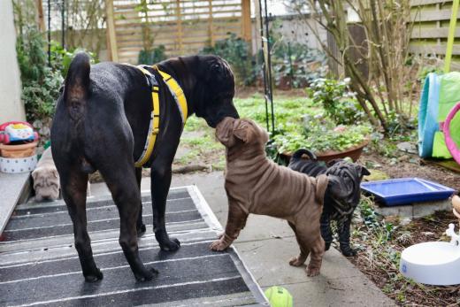 2025-03-09-16-51-58-563-82029740_2598624043675967_8761489248254842597_n