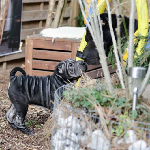 2025-03-09-16-52-15-411-80326882_2598624643675907_1471044298979971946_n