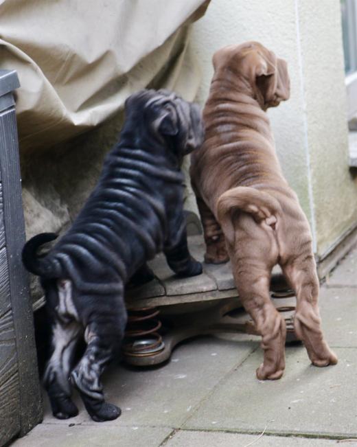 2025-03-09-16-52-57-727-81677989_2598623127009392_4042761579430644067_n