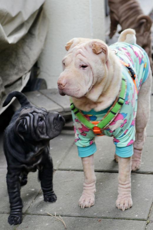 2025-03-09-16-53-28-868-81768915_2598622947009410_1305347876094383004_n