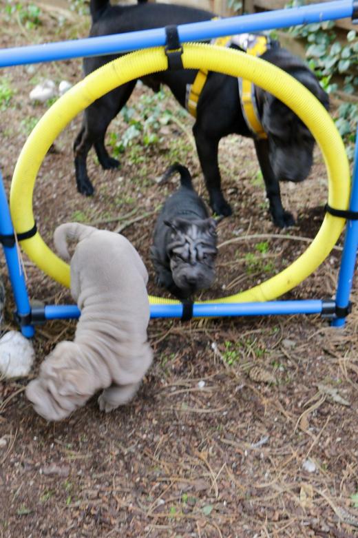 2025-03-09-17-08-21-175-82223760_2598623357009369_3351827439077204440_n