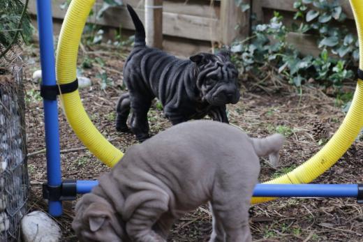 2025-03-09-17-09-36-836-81905450_2598624997009205_5095696240552176065_n