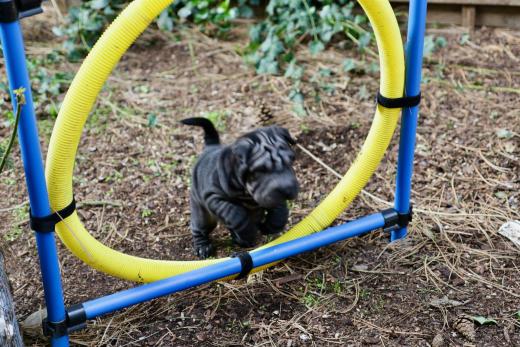 2025-03-09-17-10-20-376-76307088_2598623483676023_2178196169855425714_n