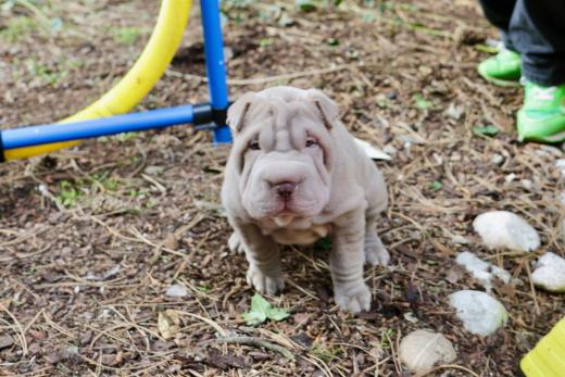 2025-03-09-17-11-11-361-80277085_2598623283676043_5681734386782079089_n