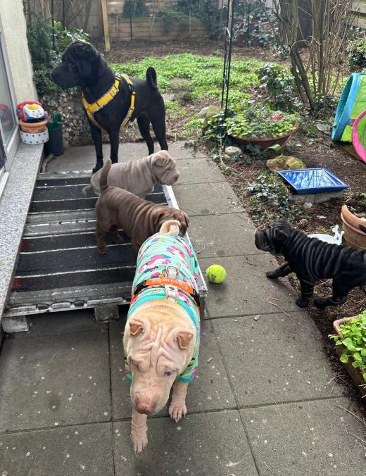 2025-03-09-17-13-49-749-80783929_2598666863671685_4709769582397075868_n