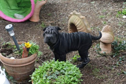 2025-03-09-17-17-16-236-81363497_2598624553675916_8665989216797618813_n