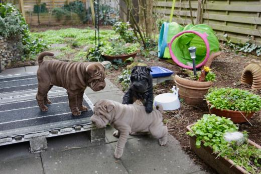 2025-03-09-17-18-02-462-80287289_2598624047009300_7946297228872241732_n