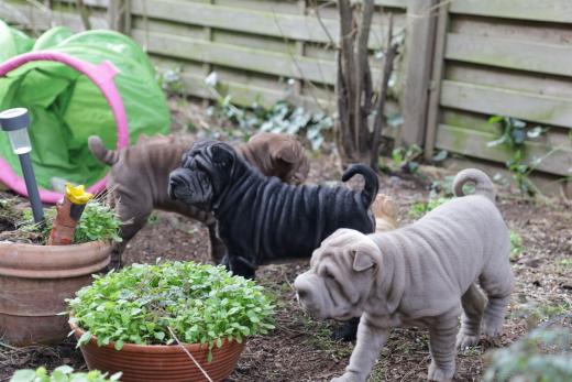 2025-03-09-17-19-52-622-81704235_2598624107009294_5282014434658100970_n