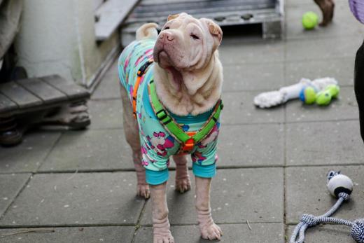 2025-03-09-17-20-35-920-81825332_2598622917009413_7182257752745336991_n