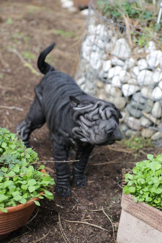 2025-03-09-17-21-12-827-82246737_2598624760342562_8734898216282774557_n