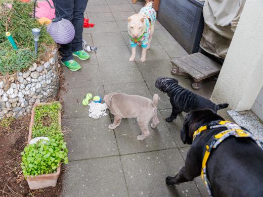 2025-03-04-09-48-23-EOS R6m2-1830