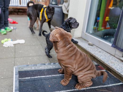 2025-03-04-09-48-30-EOS R6m2-1831