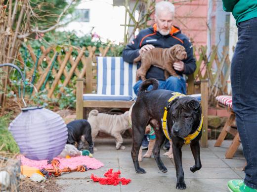 2025-03-04-09-50-13-EOS R6m2-1838