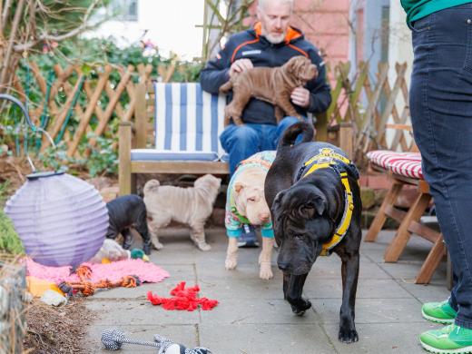 2025-03-04-09-50-14-EOS R6m2-1839