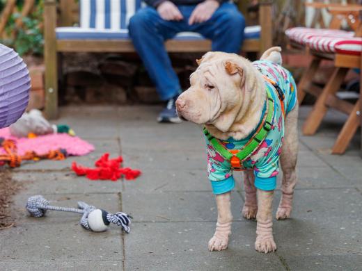 2025-03-04-09-50-30-EOS R6m2-1840