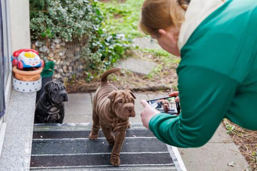 2025-03-04-09-54-32-EOS R6m2-1852