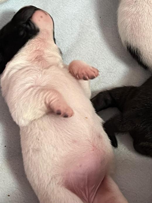 WhatsApp Bild 2025-06-08 um 14.27.33_b565ceb4